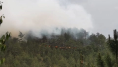 IZBIO POŽAR NA DEPONIJI, kulja gust dim