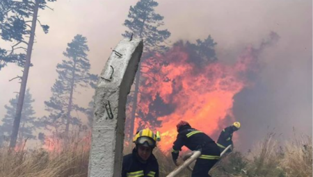 Pripadnici Sektora za vanredne situacije angažovani su na gašenju požara u Zlatiborskom upravnom okrugu