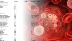 PODIŽU GVOŽĐE DO MAKSIMIMA Četiri nutrijenta dokazano obnavljaju krv