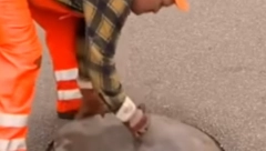 AKO VAS UJEDE PAS ILI UPADNETE U ŠAHT SLEDI ODŠTETA Evo kakva je procedura