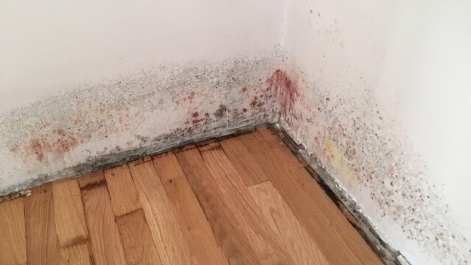 BOLJE NEGO DA SE TRUJETE HEMIJOM Samo poprskajte ovo ulje i više nikada nećete imati buđ u kući