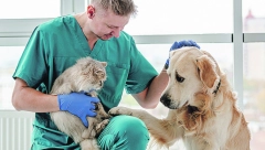 KAD SE PALI CRVENA LAMPICA, REAUGUJTE: Pušenje ubija ljubimce