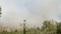 GUST DIM NAD GRADOM Divlja požar u Neumu!