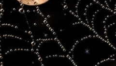 HOROSKOP ZA SREDU, 18. AVGUST: Ovnu i Jarcu pristiže novac, za Blizance i Raka lepo iznenađenje u ljubavi, Ribe čuvajte se prevare