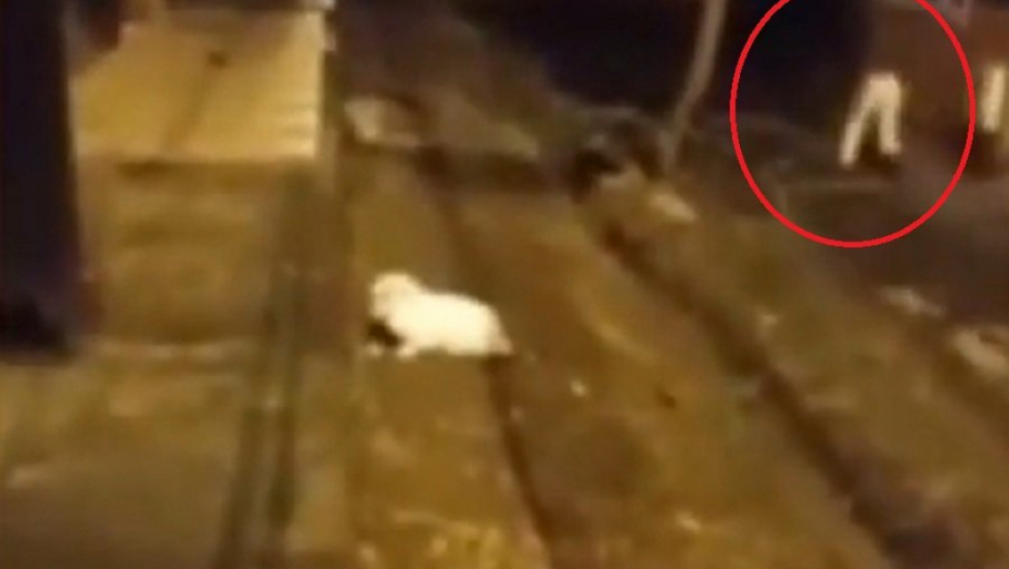ŠTA SE DEŠAVA? Snimio noge bez tela kako trče niz ulicu (VIDEO)