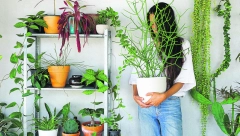 BILJOSITER ZA MEDALJU Kako da zablistate u punom sjaju ako vam neko poveri da mu čuvate cveće dok je na odmoru