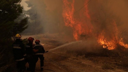 DEČAK (14) PRIZNAO PA NEGIRAO DA JE PALIO VATRE U GRČKOJ Osumnjičen za 13 podmetanja požara: Voleo plamen i dim
