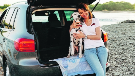 BEZBEDNA VOŽNJA Da bi putovanje s psom bilo prijatno iskustvo i za vas i za vašeg ljubimca, podsetićemo vas na nekoliko stvari