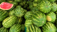 NOVOBEOGRAĐANI KRIJU TAJNU Baka Ivanka ima najslađe lubenice: Prodavala sam ovde još kada se blok gradio 1973. godine...