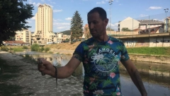 UŽAS U UŽICU Zmija otrovnica u punom kafiću!