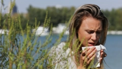 PAŽNJA! AMBROZIJA JE VEĆ U "VAZDUHU" Ovi prirodni lekovi će vam pomoći da ublažite simptome alergije