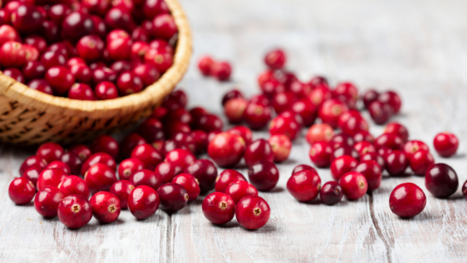 Izvor zdravlja: Brusnica kao lek za mnoge infekcije