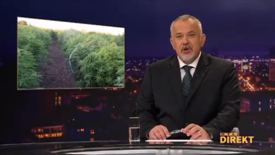 HAOS U HRVATSKOJ Na državnom zemljištu otkrivena najveća plantaža marihuane na Balkanu, ali tamo niko nije uperio prst u svoju državu (VIDEO)