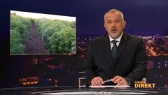 HAOS U HRVATSKOJ Na državnom zemljištu otkrivena najveća plantaža marihuane na Balkanu, ali tamo niko nije uperio prst u svoju državu (VIDEO)