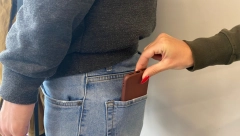 LOPOVI VREBAJU KAO KAD DIVLJE MAČKE TRAŽE NAJSLABIJU JEDINKU Kako postupiti u slučaju krađe?