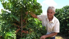 U čemu se ogleda specifičnost Grand Single Origin kafe