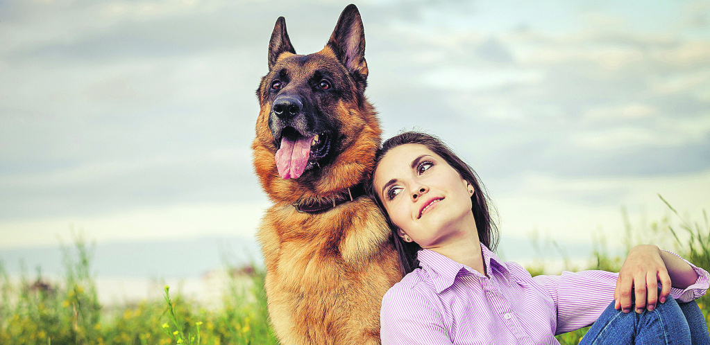 PRIJATELJI KOJI VAS NIKAD NEĆE IZDATI Ovo su tri najodanije rase pasa