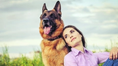 PRIJATELJI KOJI VAS NIKAD NEĆE IZDATI Ovo su tri najodanije rase pasa