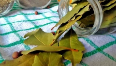 Čudotvorna biljka: Začin koji leči mnogobrojne zdravstvene probleme