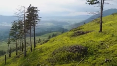 DRAMA NA DURMITORU Potraga za državljankom Slovenije koja se izgubila planinareći!