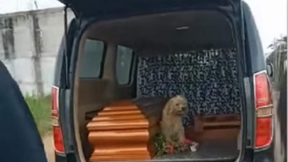 PUĆI ĆE VAM SRCE! Dok su mu sahranjivali vlasnicu, pas je bio odan do kraja(VIDEO)