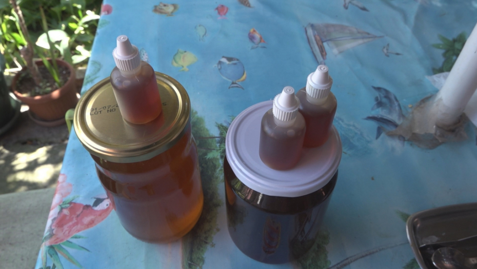 OVO JE PRIRODNI ANTIBIOTIK Propolis jača imunitet i čuva zdravlje