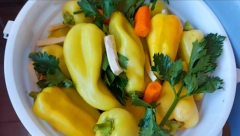 STARI RECEPT ZA "NAJZDRAVIJU SALATU": Samo ovako možete da sačuvate sve vitamine iz povrća u turšiji