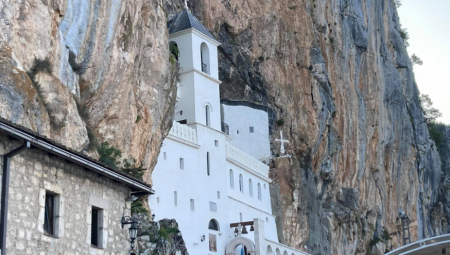 DARIO SPASIO ŽIVOT DEČAKU (15) Hteo da poseti Ostrog, a onda je krenula borba za život