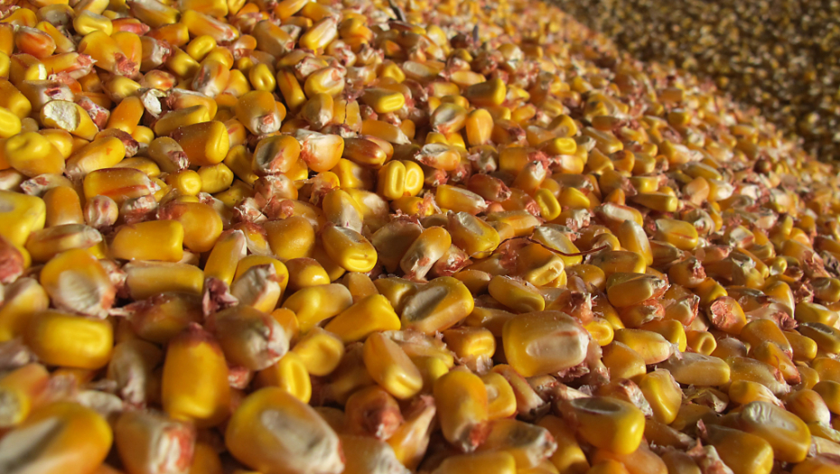 ŠEST ZEMALJA EU POVEĆALO IZVOZ U RUSIJU Hrvatska i Slovenija pri samom vrhu liste