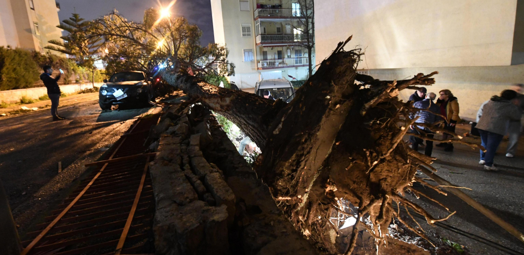 ČUDO U KENTAKIJU: Tornado iščupao kadu u kojoj je bilo DVOJE DECE! Pronađena su u njoj nepovređena daleko od razorene kuće!