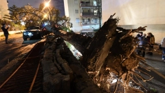 ČUDO U KENTAKIJU: Tornado iščupao kadu u kojoj je bilo DVOJE DECE! Pronađena su u njoj nepovređena daleko od razorene kuće!