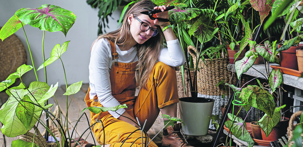 Ne vole hladno vreme: Ove biljke obavezno unesite u kuću tokom zime