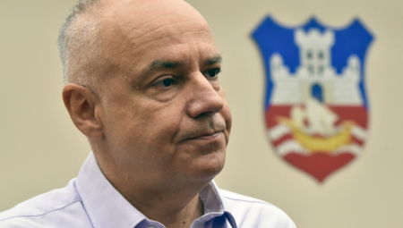 GRADSKO ZELENILO INTERVENISALO 750 PUTA Radojičić: Nastala šteta biće nadoknađena građanima!