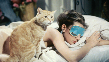 MAČAK KOD TIFANIJA Jedno od osnovnih ostvarenja pop kulture nije samo lansiralo u zvezde Odri Hepbern već i njenog četvoronožnog kolegu