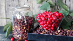 SREĐUJE TEŠKO DISANJE I HRONIČAN UMOR "Sveta" biljka pomaže ŽENAMA i kod problema u NAJKRITIČNIJIM godinama!