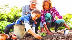 ZASADITE CRNI LUK U SEPTEMBRU Baštovani otkrili trik sa kojim nema greške