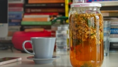 SVI JE JEDU ZA DORUČAK, A NIKO NE SLUTI KOLIKO JE ZDRAV ČAJ: Ona je najjeftinija biljka koja čisti organizam i podiže imunitet