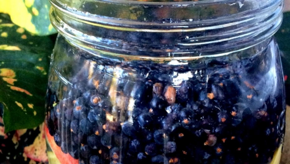 OBAVEZNO IH DODAJTE U ISHRANU Kažu da su ove 3 namirnice najzdravije na svetu