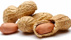 ONE SU MOĆNI SAVEZNIK ZDRAVLJA Ovo su četiri namirnice koje obiluju vitaminom B3