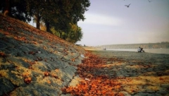 HOROSKOP ZA PETAK, 8. OKTOBAR: Bik dobija važan poziv, Rak ulazi u novu vezu, Ribama zdravlje ugrožen