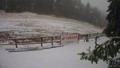 ZABELELO SE U SRBIJI Sneg jutros pao u ovim delovima zemlje