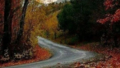 HOROSKOP ZA PONEDELJAK. 11. OKTOBAR Devicu čeka neprijatno iznenađenje, Bika fatalna ljubav, Strelca pad imuniteta