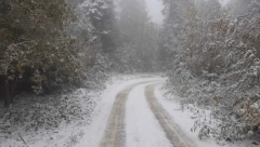 STIŽE SNEG! Krajem dana se očekuju prve pahulje