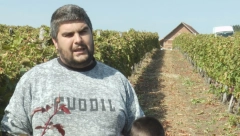 NJIHOVO GROŽĐE JE TRI PUTA VEĆE OD PROSEKA Glišići obaraju sve rekorde, jedan plod teži skoro 2 kilograma (FOTO)