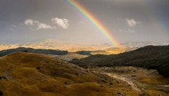 HOROSKOP ZA 15. OKTOBAR: Ovan će imati problema sa nogama, Bika očekuje povoljan ljubavni period, a Blizanci su zadovoljni situacijom na poslu!