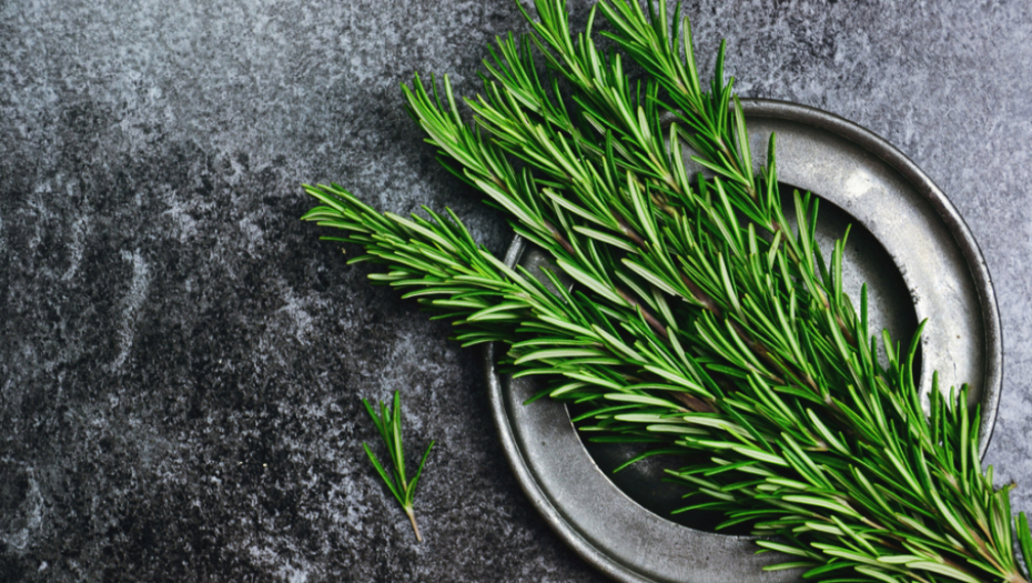 Ispravka: Miris ruzmarina ne može da utiče na povećanje pamćenja