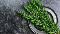 Lek za mnoge bolesti: Miris ove biljke povećava pamćenje