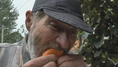 NE ZNA ŠTA JE BOLEST Deda Milutin više od 30 godina jede samo buđavu hranu, a radi i oseća se kao "čigra", evo u čemu je tajna