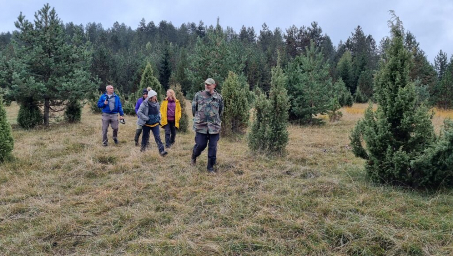 VANDA OSTALA BEZ OGRLICE ZA PRAĆENJE: Biolozi odašiljač pronašli podno planine Ozren, ali od vučice ni traga (FOTO)