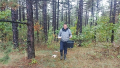 SRPSKI PRIRODNI DELIKATES BOLJI OD TARTUFA Dr Boris Ivančević tvrdi da kod Suvobora rastu gljive koje imaju ukus kao meso! (FOTO)